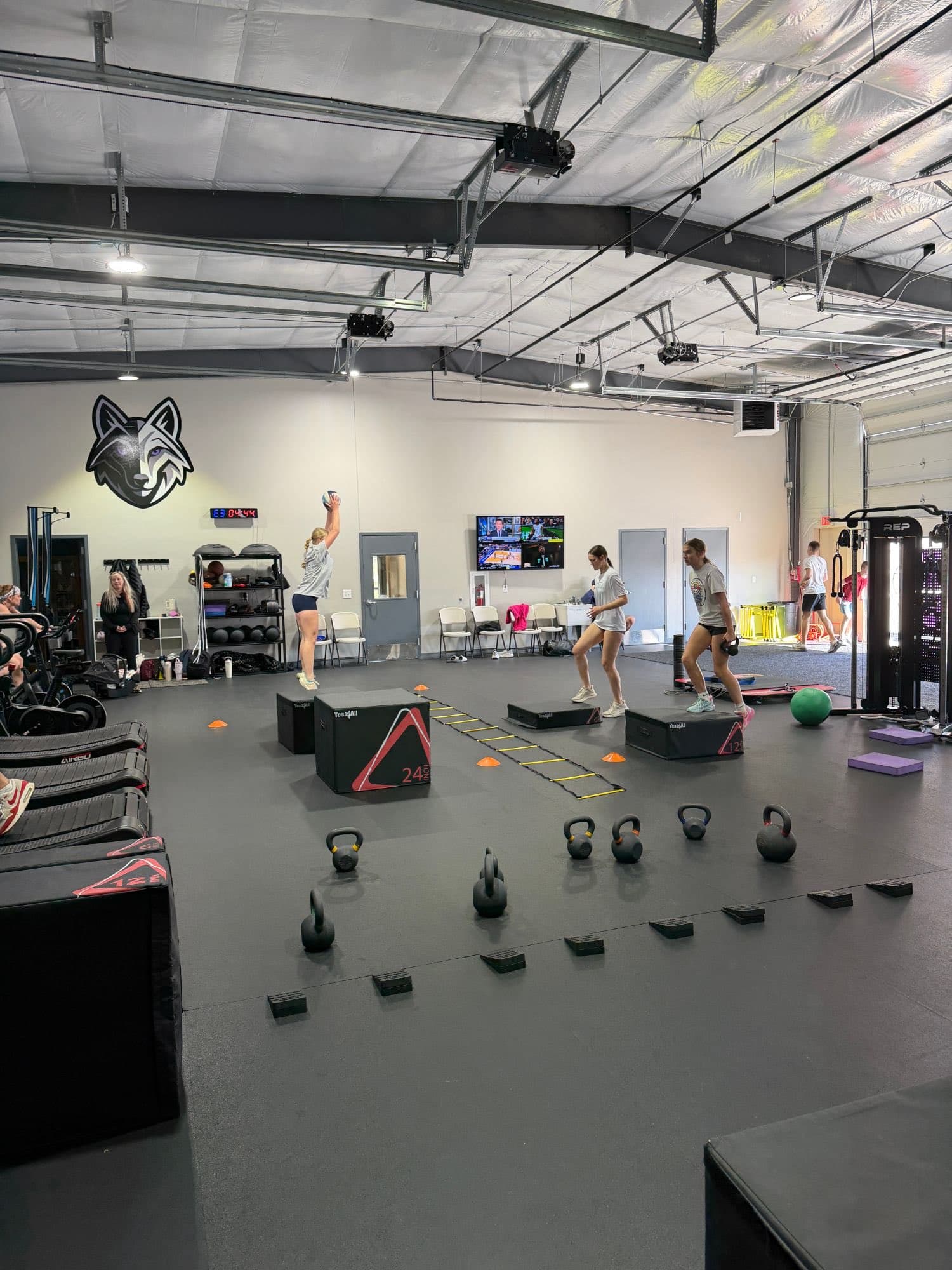 Power — The fierce wolf at Gray Wolf Performance