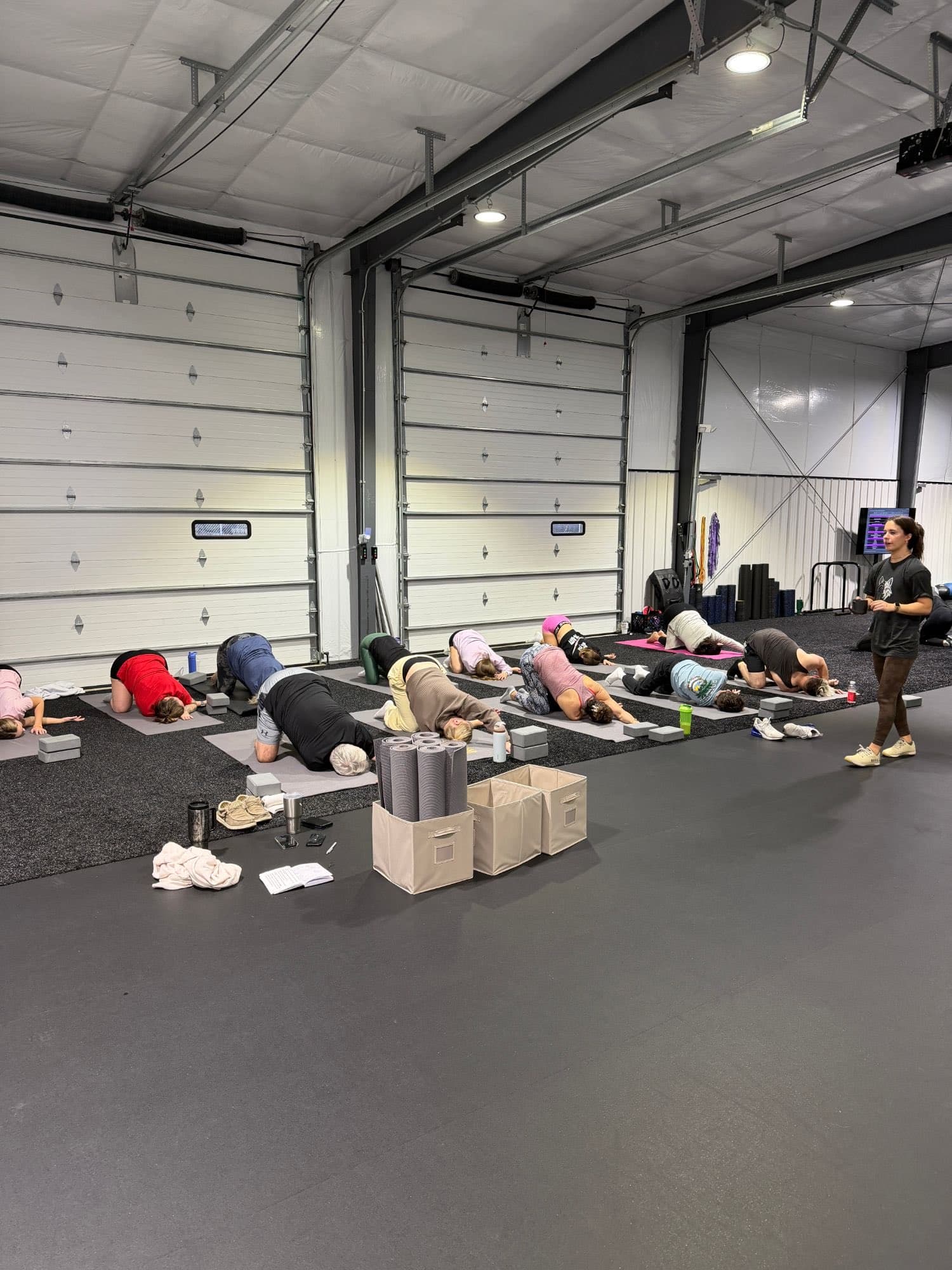 Presence — The calm wolf at Gray Wolf Performance